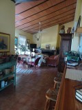 Foto6