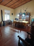 Foto7