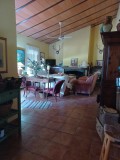 Foto8