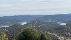 Foto49