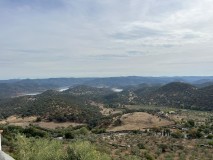 Foto50
