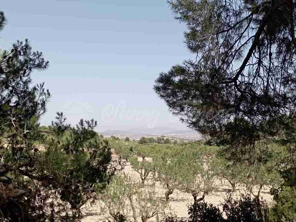 Foto suelo rústico en venta en jumilla murcia