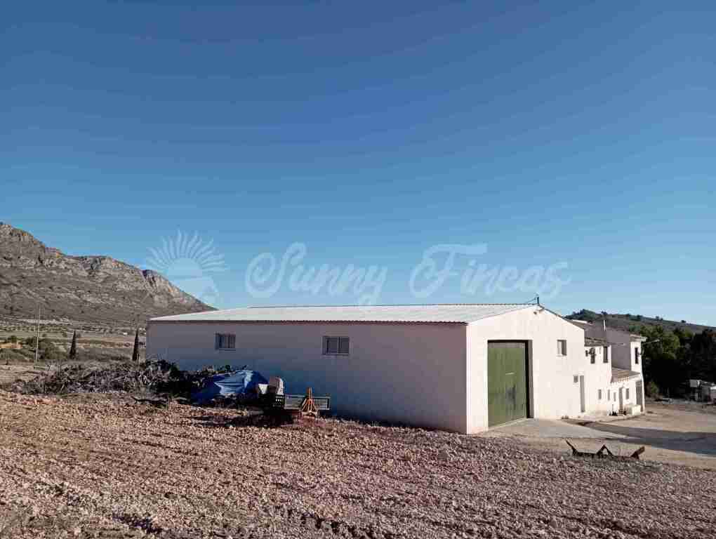 casa de campo-masía en venta en yecla murcia foto grande (3)
