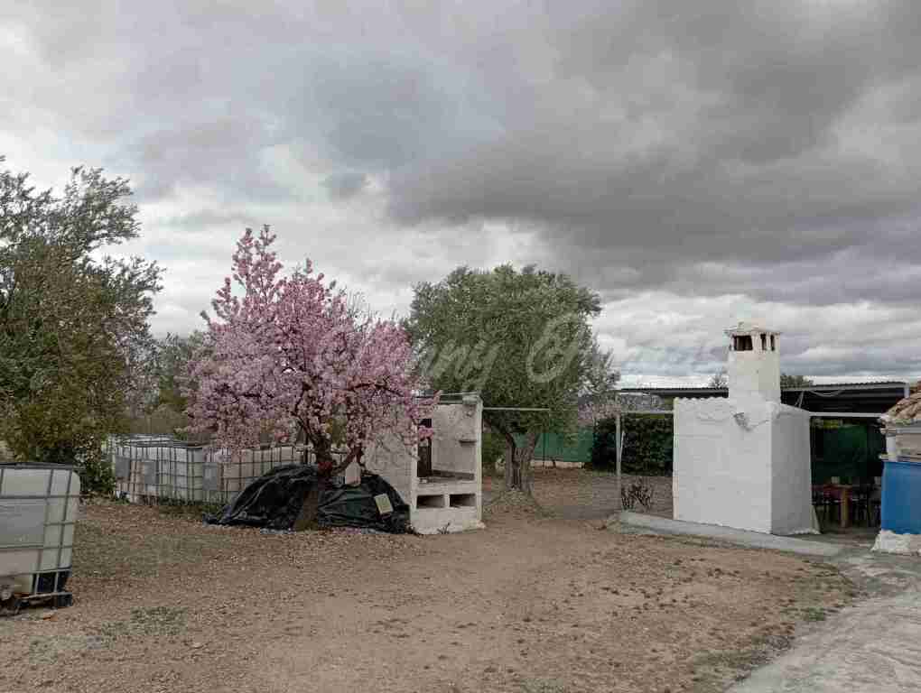 casa de campo-masía en venta en yecla murcia foto grande (3)
