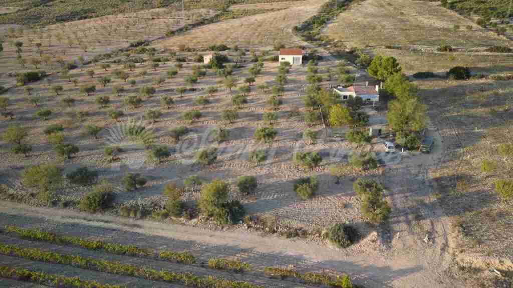 Country House for sale in Caudete
