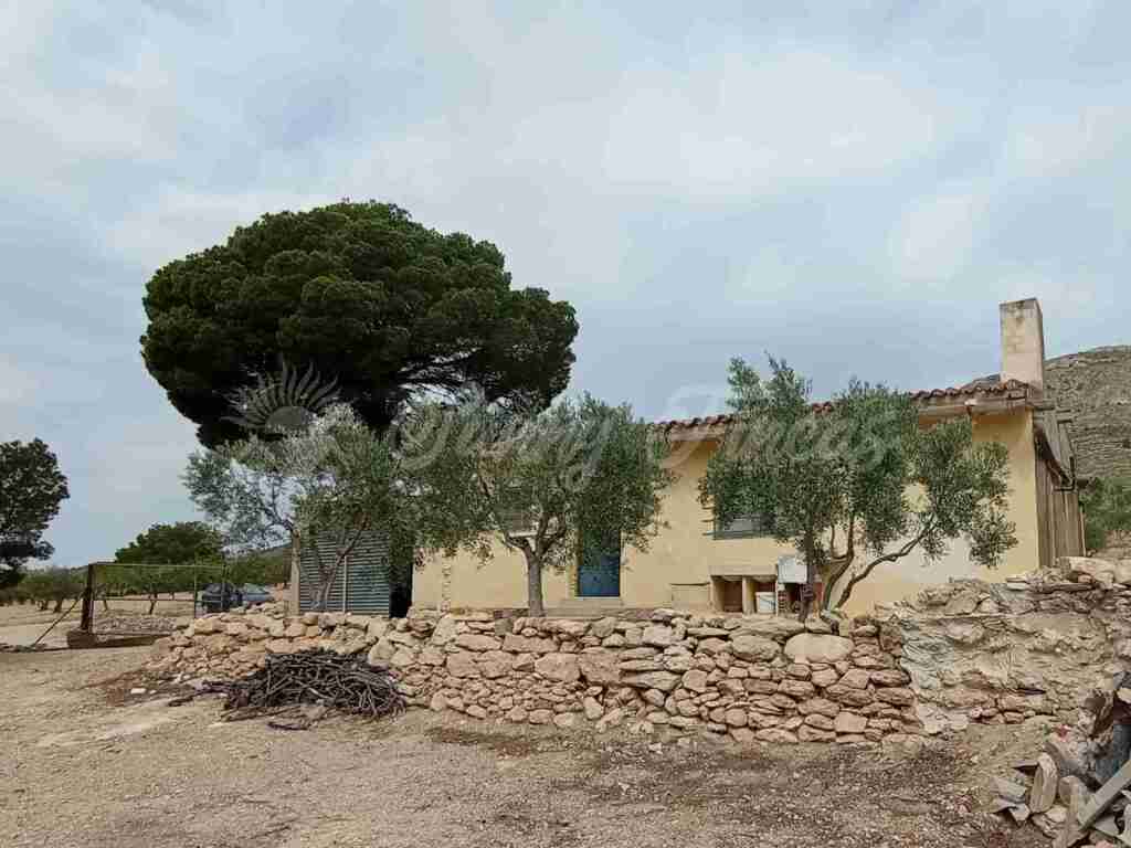 casa de campo-masía en venta en caudete albacete foto grande (3)