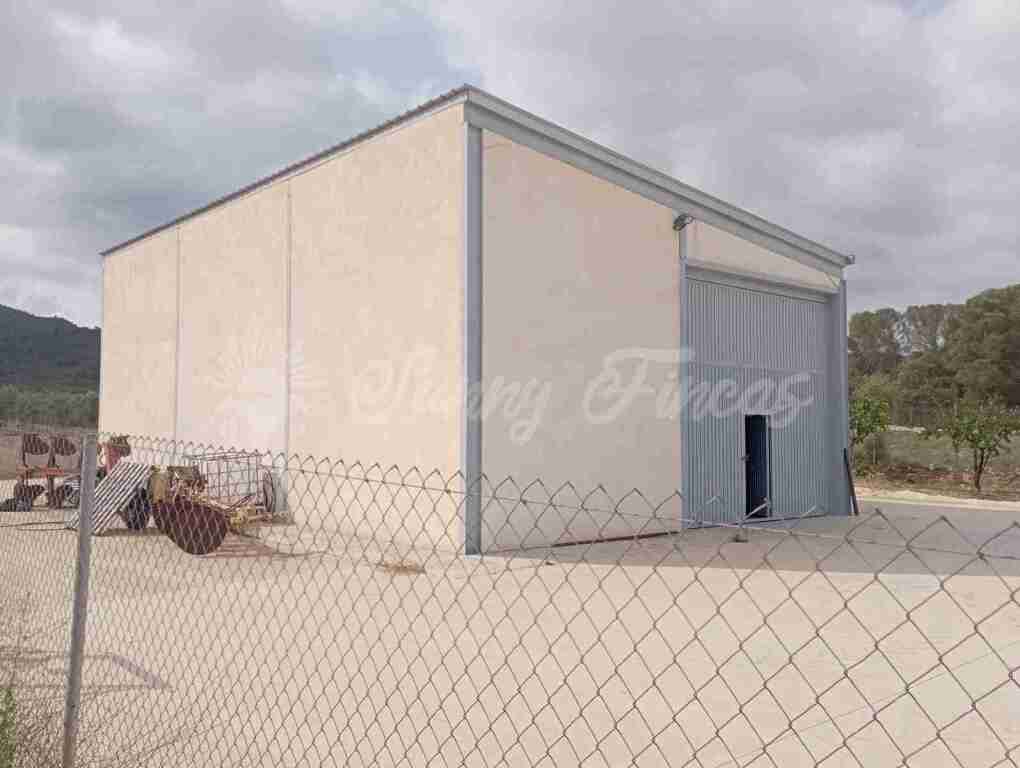 Tractores mulas mecanicas  de segunda mano - Suelo rústico en Venta en Yecla Murcia