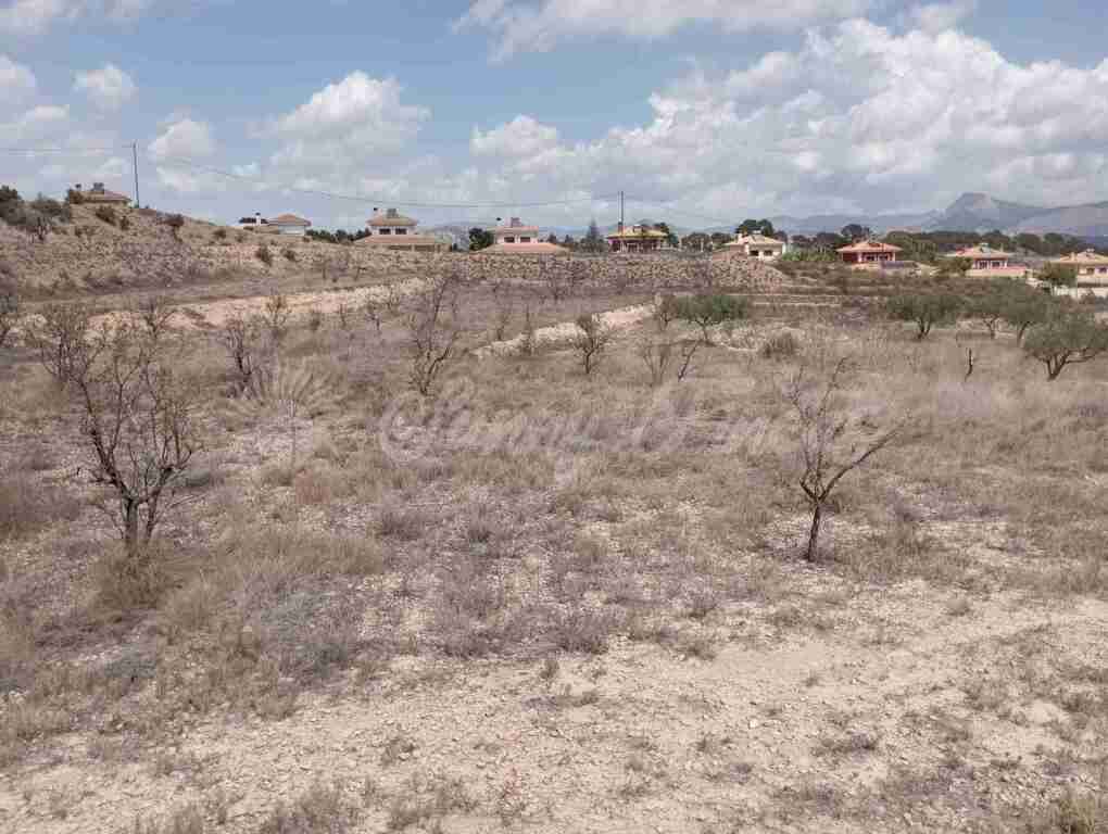Foto suelo urbanizable en venta en monovar-monover alicante