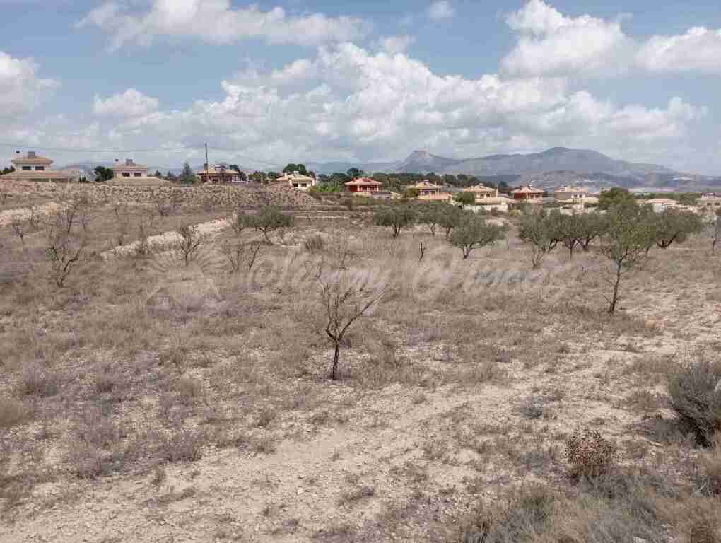 suelo urbanizable en venta en monovar-monover alicante foto grande (2)