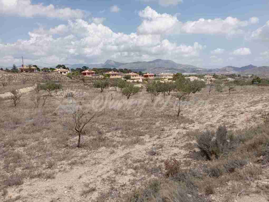 suelo urbanizable en venta en monovar-monover alicante foto grande (3)