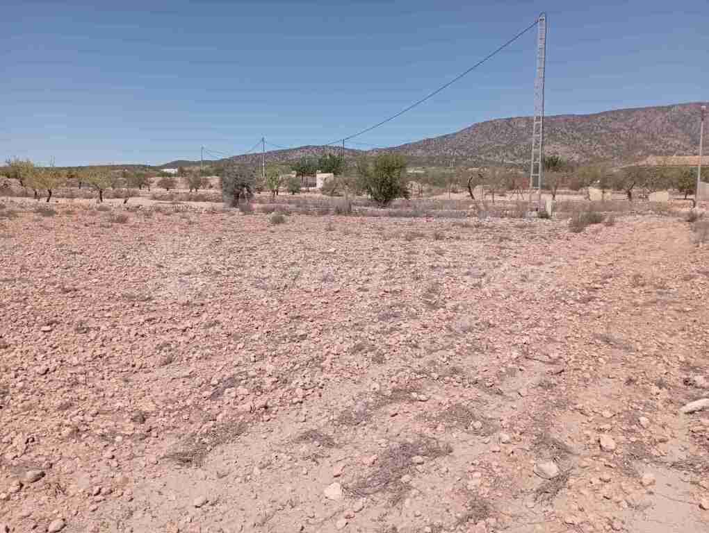 suelo urbanizable en venta en pinoso alicante foto grande (2)