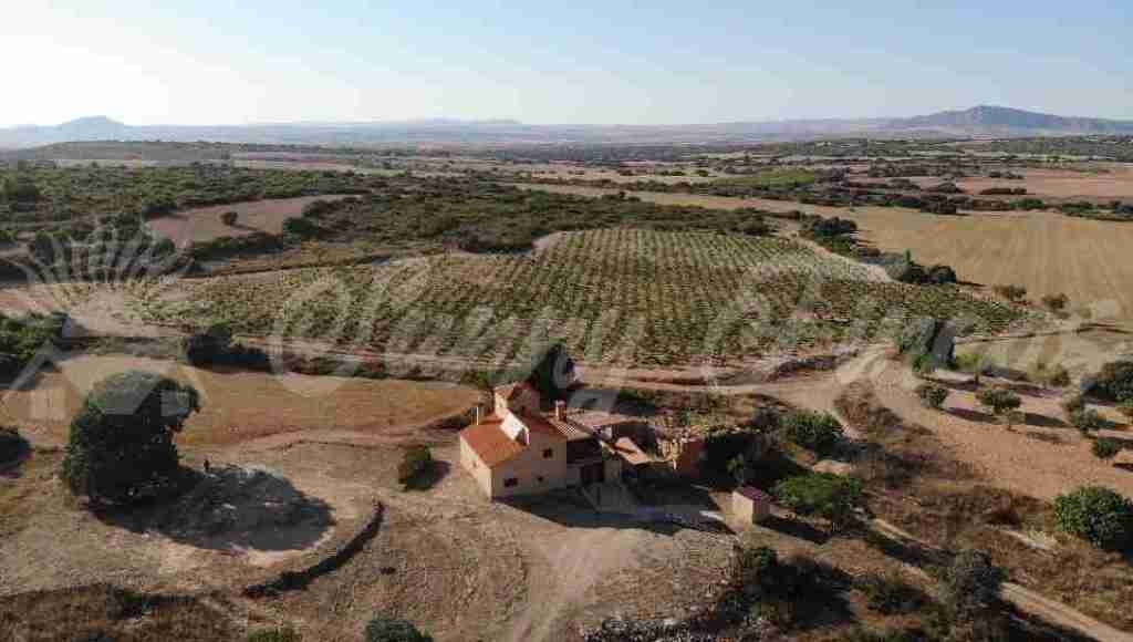 casa-chalet en venta en almansa albacete foto grande (3)
