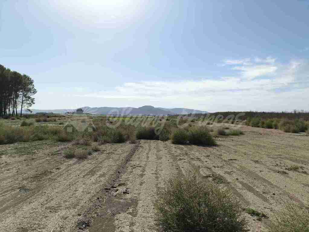 Foto suelo urbanizable en venta en villena alicante