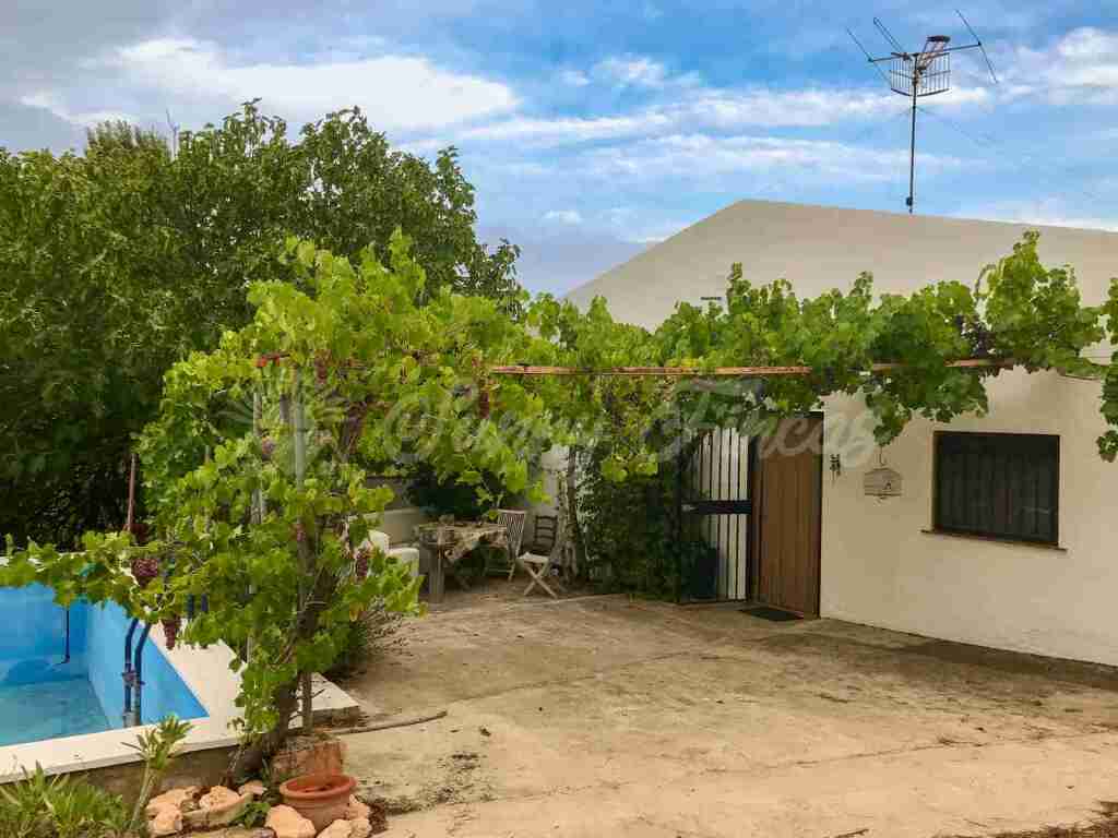 Foto casa-chalet en venta en almansa albacete