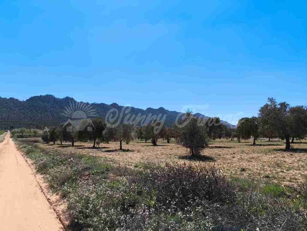 suelo rústico en venta en yecla murcia foto grande (2)