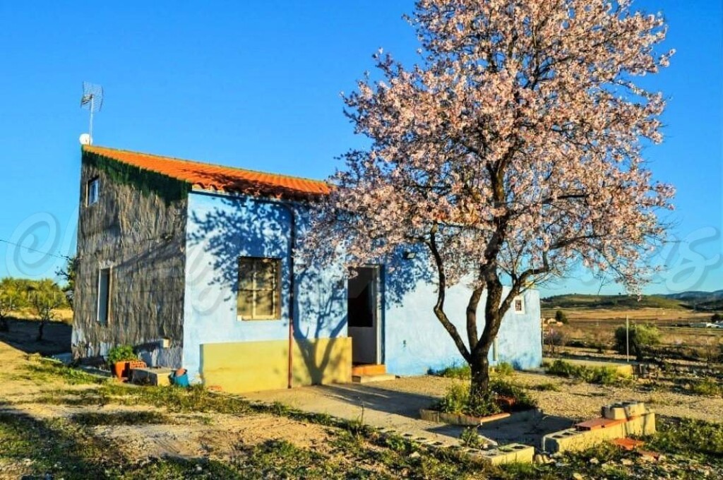 Foto casa de campo-masía en venta en jumilla murcia