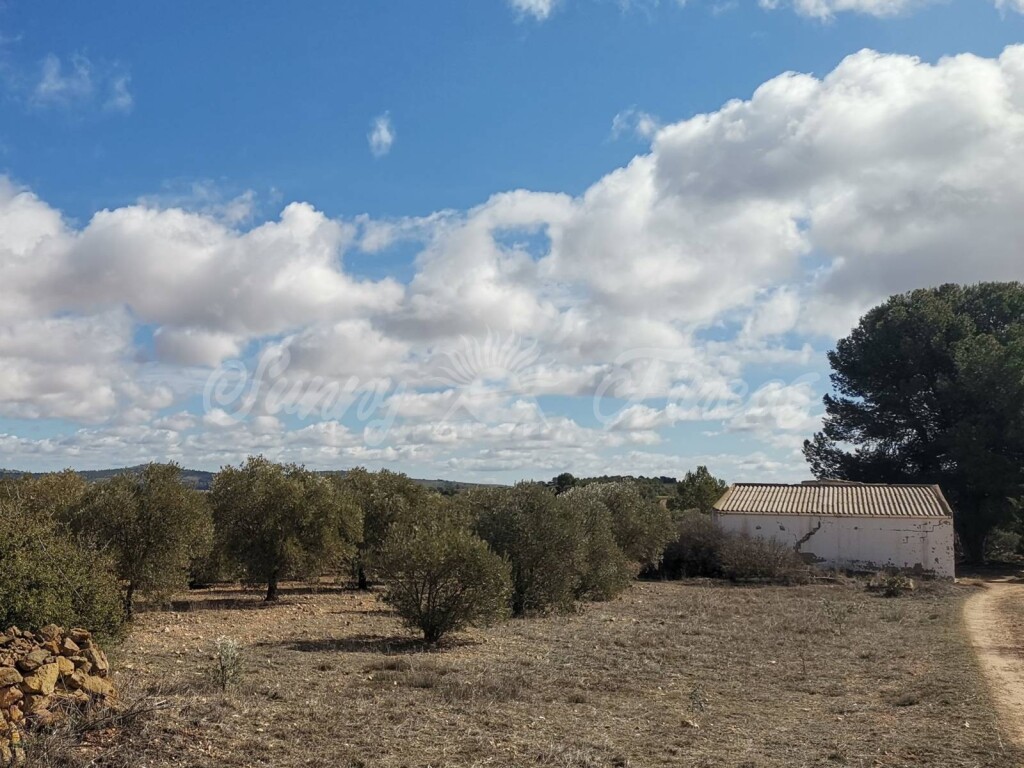 foto de local 600m2