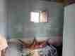 Foto8