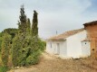 Foto15