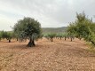 Foto20