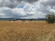Foto3