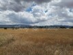 Foto7