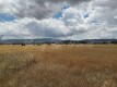 Foto8
