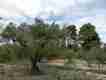 Foto31