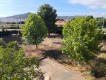 Foto38