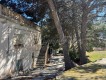 Foto19
