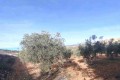 Foto23