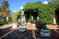 Foto36