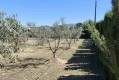 Foto46