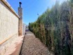 Foto36