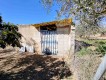 Foto41