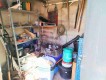 Foto42