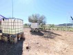 Foto43