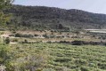 Foto2