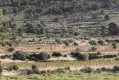 Foto5