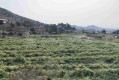 Foto8