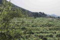 Foto5
