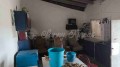 Foto6