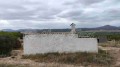 Foto15