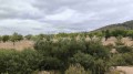 Foto16