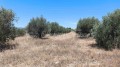 Foto5