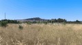 Foto4