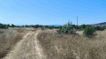 Foto6