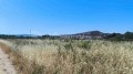 Foto9