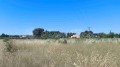 Foto10