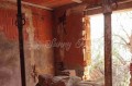 Foto8